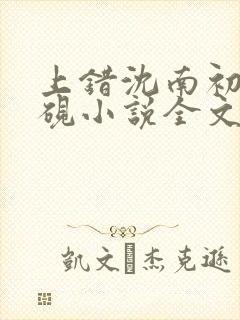 上错沈南初陆时砚小说全文免费阅读