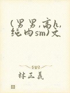 (男男,高h,纯肉sm)文