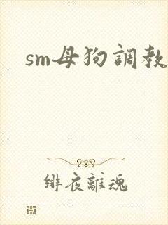 sm母狗调教骚