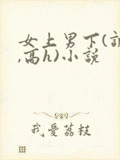 女上男下(调教,高h)小说
