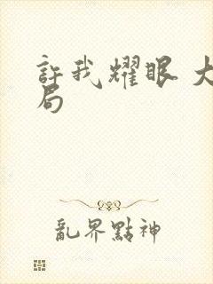 许我耀眼 大结局