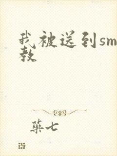 我被送到sm调教