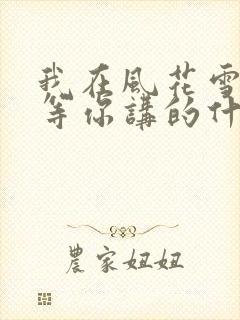 我在风花雪月里等你讲的什么封面