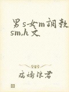 男s女m调教(sm,h文