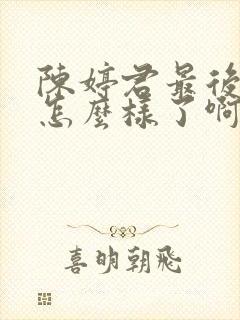陈婷君最后结局怎么样了啊