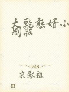 大乾憨婿小说未删版