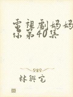 电视剧妈妈在等你第40集