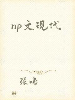 np文现代封面