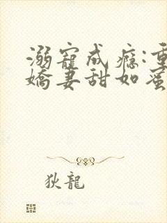 溺宠成瘾:重生娇妻甜如蜜小说