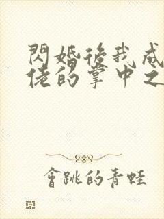 闪婚后我成了大佬的掌中之物剧情