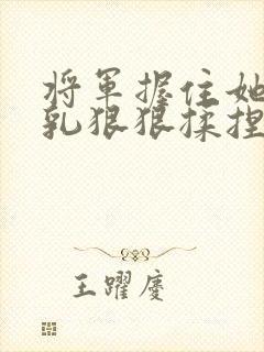 将军握住她的双乳狠狠揉捏小说封面