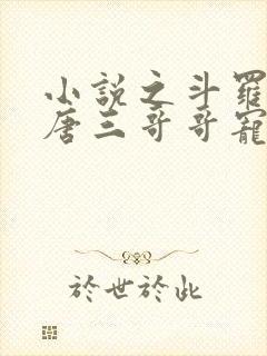 小说之斗罗:被唐三哥哥宠上天