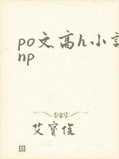 po文高h小说np