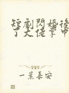 短剧闪婚后我成了大佬掌中之物封面