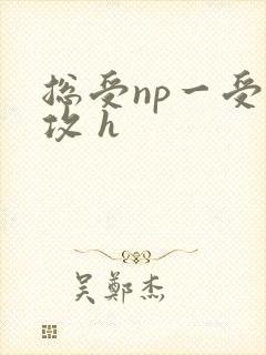 总受np一受多攻 h
