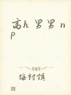 高h 男男 np封面