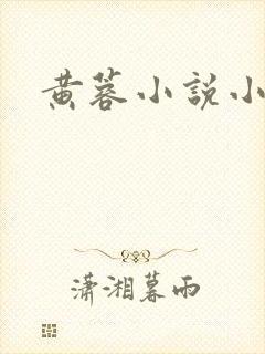 黄蓉小说小武封面