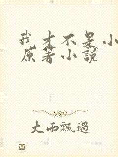 我才不是小可怜原著小说