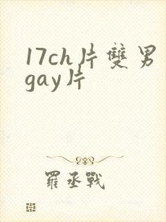 17ch片双男gay片