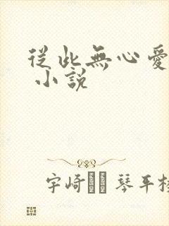 从此无心爱凉夜 小说