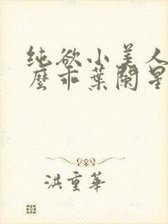 纯欲小美人他那么乖叶阑星封面