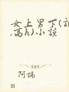 女上男下(调教,高h)小说