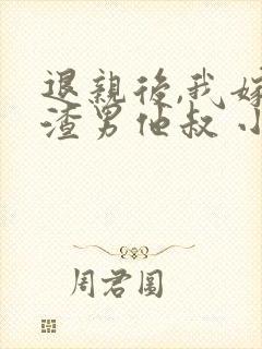 退亲后,我嫁给渣男他叔 小说封面