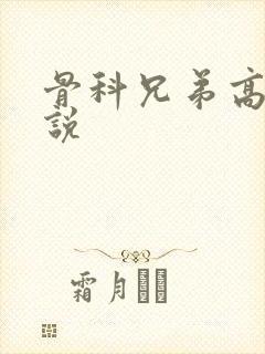 骨科兄弟高h小说