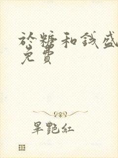 于糖和钱盛小说免费