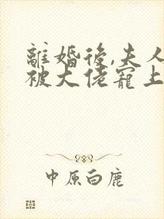 离婚后,夫人她被大佬宠上天小说免费讲述