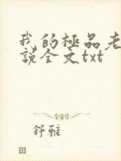 我的极品老婆小说全文txt