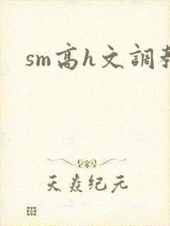 sm高h文调教