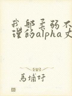 我那柔弱不能自理的alpha丈夫笔趣阁