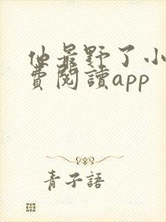 他最野了小说免费阅读app封面