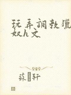 玩弄调教猎艳收奴h文封面