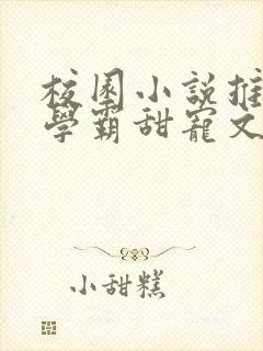 校园小说推荐双学霸甜宠文封面