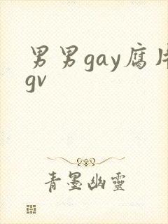 男男gay腐片gv