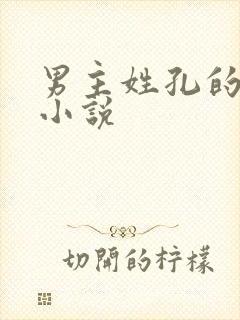 男主姓孔的现代小说