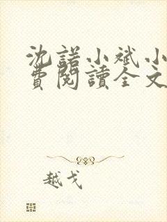 沈诺小斌小说免费阅读全文最新章节