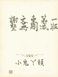 谢文东第一季完整无删减版