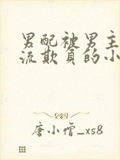 男配被男主们轮流欺负的小说