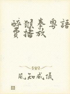 醉猴拳粤语版免费播放