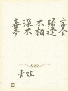 春深不归客,清梦不相逢全文免费封面