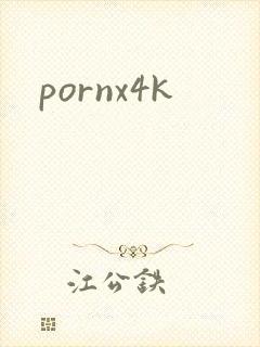 pornx4k封面