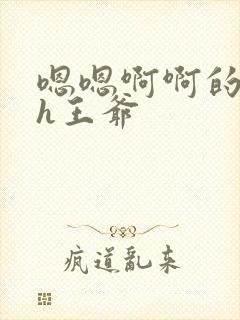 嗯嗯啊啊的小说h王爷