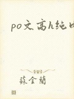 po文高h纯肉