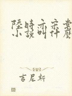 陆时亦宋棠原著小说叫什么
