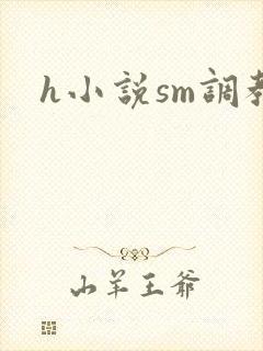 h小说sm调教