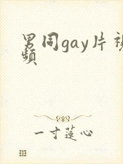 男同gay片视频封面