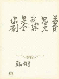 你是我兄弟电视剧全集免费观看高清